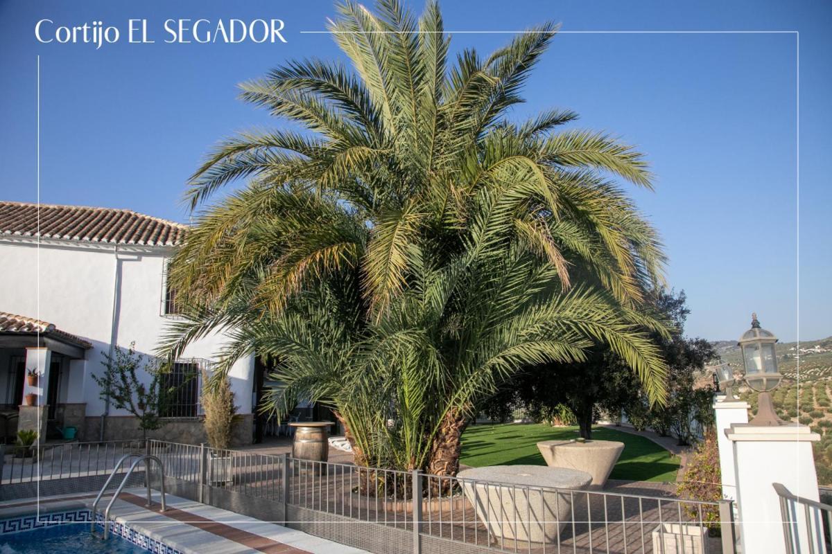 Cortijo El Segador Y El Capricho Villa Almedinilla Екстериор снимка